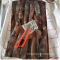 Illex squid whole round for market selling export thailand